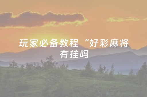 玩家必备教程“好彩麻将有挂吗（专用辅牌神器免安装）