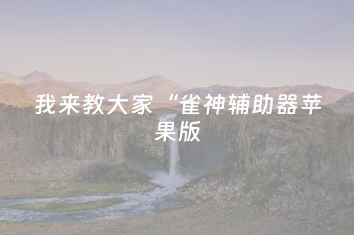 我来教大家“雀神辅助器苹果版（助赢神器通用版）