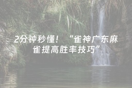 2分钟秒懂！“雀神广东麻雀提高胜率技巧”（详细开挂教程）-哔哩哔哩