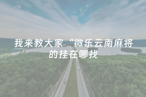 我来教大家“微乐云南麻将的挂在哪找（专用辅牌神器免安装）