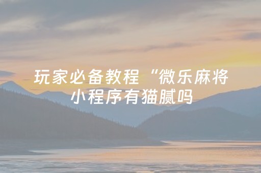 黑料“微信小程序麻将充值能提高胜率”（发牌有什么规律吗)