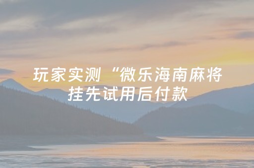玩家实测“微乐海南麻将挂先试用后付款（助赢神器通用版）