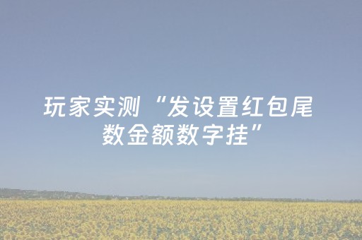 今日实测“微乐麻将主助赢神器购买”（详细开挂教程）-哔哩哔哩