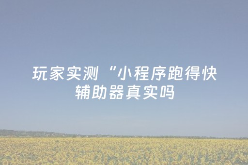 玩家实测“小程序跑得快辅助器真实吗（助赢神器通用版）