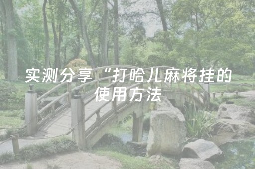 实测分享“打哈儿麻将挂的使用方法（助赢神器通用版）