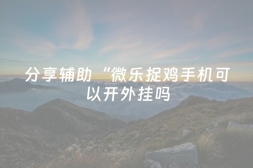 分享辅助“微乐捉鸡手机可以开外挂吗（专用辅牌神器免安装）