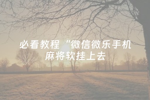 必看教程“微信微乐手机麻将软挂上去（专用辅牌神器免安装）