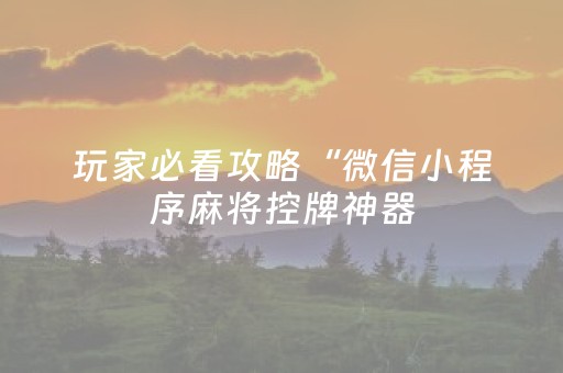 玩家必看攻略“微信小程序麻将控牌神器（助赢神器通用版）