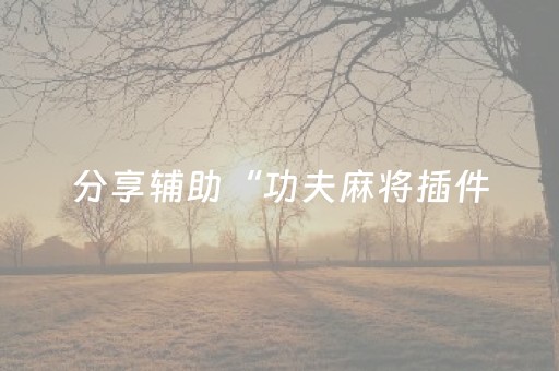 分享辅助“功夫麻将插件（专用辅牌神器免安装）