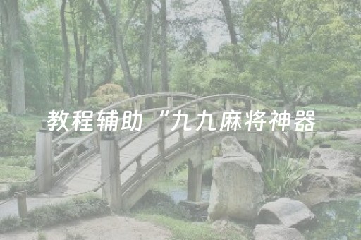 教程辅助“九九麻将神器（助赢神器通用版）