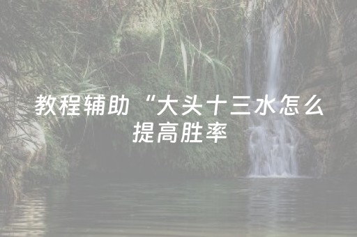 教程辅助“大头十三水怎么提高胜率（专用辅牌神器免安装）