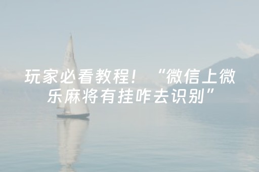 玩家必看教程！“微乐海南麻将神器软件下载”（详细透视教程）-哔哩哔哩