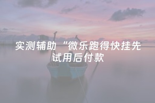 实测辅助“微乐跑得快挂先试用后付款（专用辅牌神器免安装）