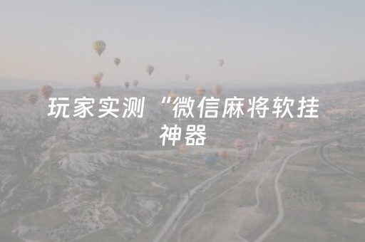 玩家实测“微信麻将软挂神器（专用辅牌神器免安装）