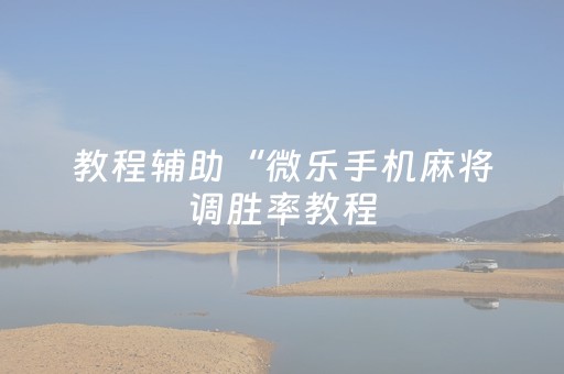 分享辅助“手机打麻将专用神器（专用辅牌神器免安装）
