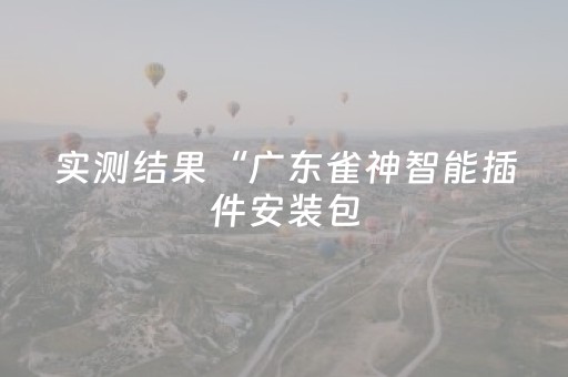 实测结果“广东雀神智能插件安装包（专用辅牌神器免安装）