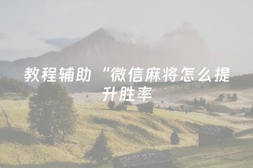 实测分享“免安装麻将机控牌器手机专用（助赢神器通用版）