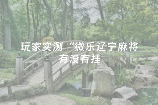 玩家实测“微乐辽宁麻将有没有挂（专用辅牌神器免安装）