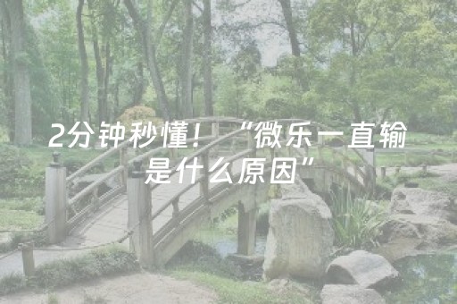 2分钟秒懂！“微乐一直输是什么原因”（详细开挂教程）-哔哩哔哩