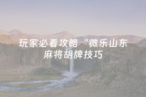 玩家必看攻略“微乐山东麻将胡牌技巧（专用辅牌神器免安装）