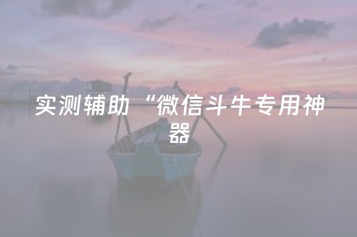 实测辅助“微信斗牛专用神器（专用辅牌神器免安装）