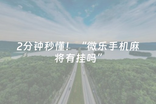 2分钟秒懂！“微乐手机麻将有挂吗”（详细透视教程）-哔哩哔哩
