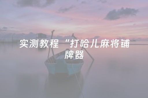 实测教程“打哈儿麻将铺牌器（专用辅牌神器免安装）