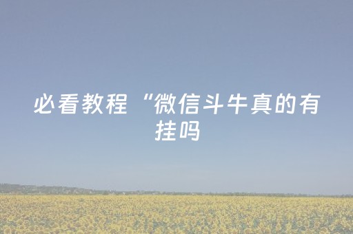 必看教程“微信斗牛真的有挂吗（助赢神器通用版）