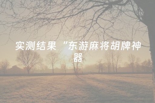 实测结果“东游麻将胡牌神器（专用辅牌神器免安装）