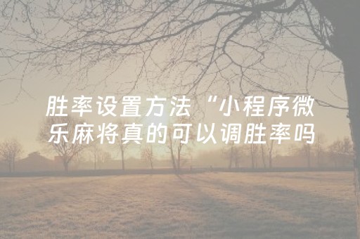 玩家实测“手机麻将挂先试用后付款（助赢神器通用版）