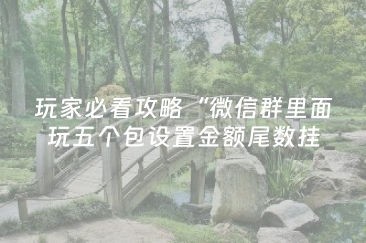 分享辅助“QQ抢红包玩埋雷挂控制尾数软件”（详细透视教程）-哔哩哔哩