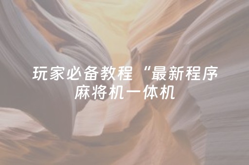 玩家必备教程“最新程序麻将机一体机（助赢神器通用版）