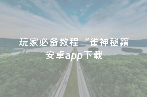 玩家必备教程“雀神秘籍安卓app下载（助赢神器通用版）