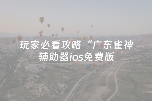 玩家必看攻略“广东雀神辅助器ios免费版（专用辅牌神器免安装）