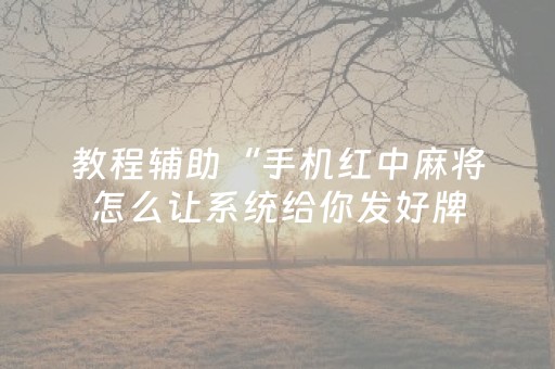 教程辅助“手机红中麻将怎么让系统给你发好牌（助赢神器通用版）