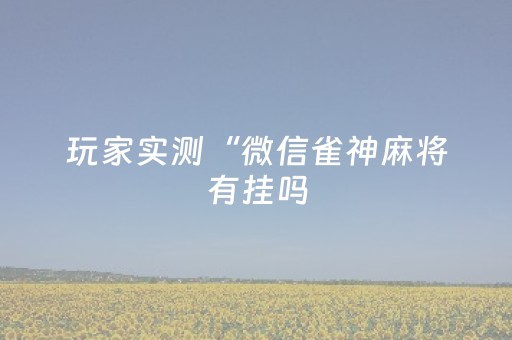 玩家实测“微信雀神麻将有挂吗（专用辅牌神器免安装）