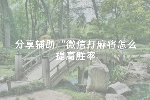 玩家必备教程“手机金花透明辅助插件安装（专用辅牌神器免安装）