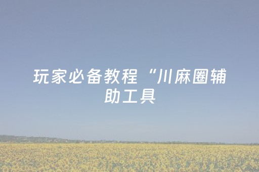 玩家必备教程“川麻圈辅助工具（助赢神器通用版）