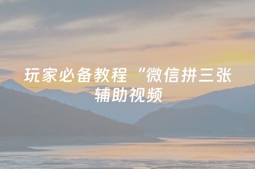玩家必备教程“微信拼三张辅助视频（专用辅牌神器免安装）