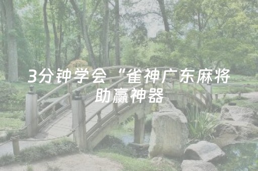3分钟学会“雀神广东麻将助赢神器（专用辅牌神器免安装）