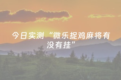 今日实测“微乐捉鸡麻将有没有挂”（详细辅助教程）-哔哩哔哩