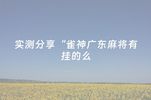 实测分享“雀神广东麻将有挂的么（专用辅牌神器免安装）