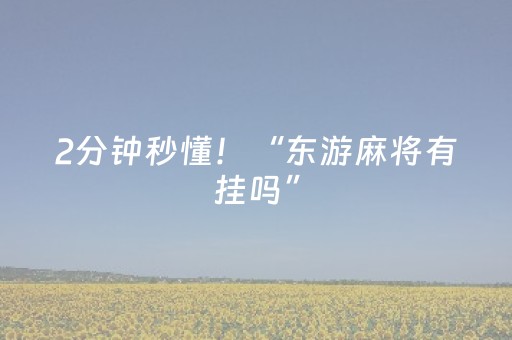 2分钟秒懂！“东游麻将有挂吗”（详细透视教程）-哔哩哔哩