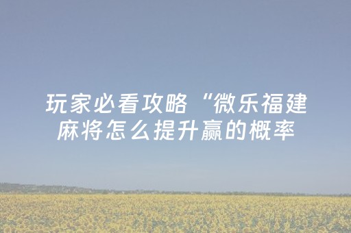 玩家必看攻略“微乐福建麻将怎么提升赢的概率（专用辅牌神器免安装）