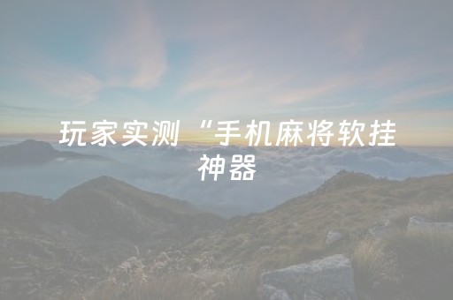 玩家实测“手机麻将软挂神器（专用辅牌神器免安装）