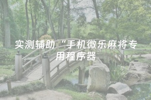 实测辅助“手机微乐麻将专用程序器（专用辅牌神器免安装）