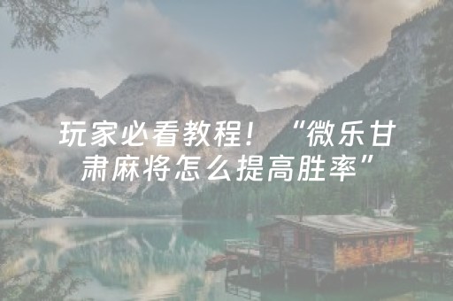 玩家必看教程！“微乐甘肃麻将怎么提高胜率”（详细开挂教程）-哔哩哔哩