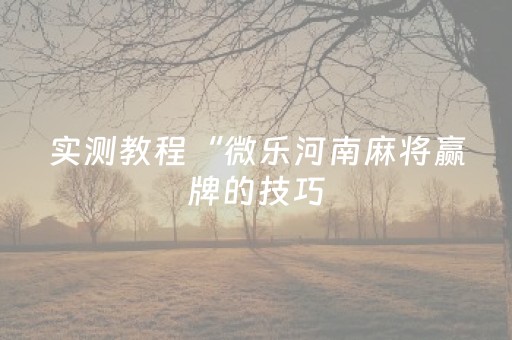 实测分析“手机雀神麻将助赢神器”（详细辅助教程）-哔哩哔哩