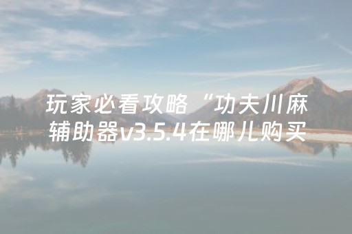 教程辅助“闲聊红包埋雷挂”（详细透视教程）-哔哩哔哩