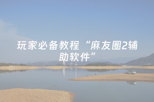 玩家必备教程“麻友圈2辅助软件”（详细透视教程）-哔哩哔哩